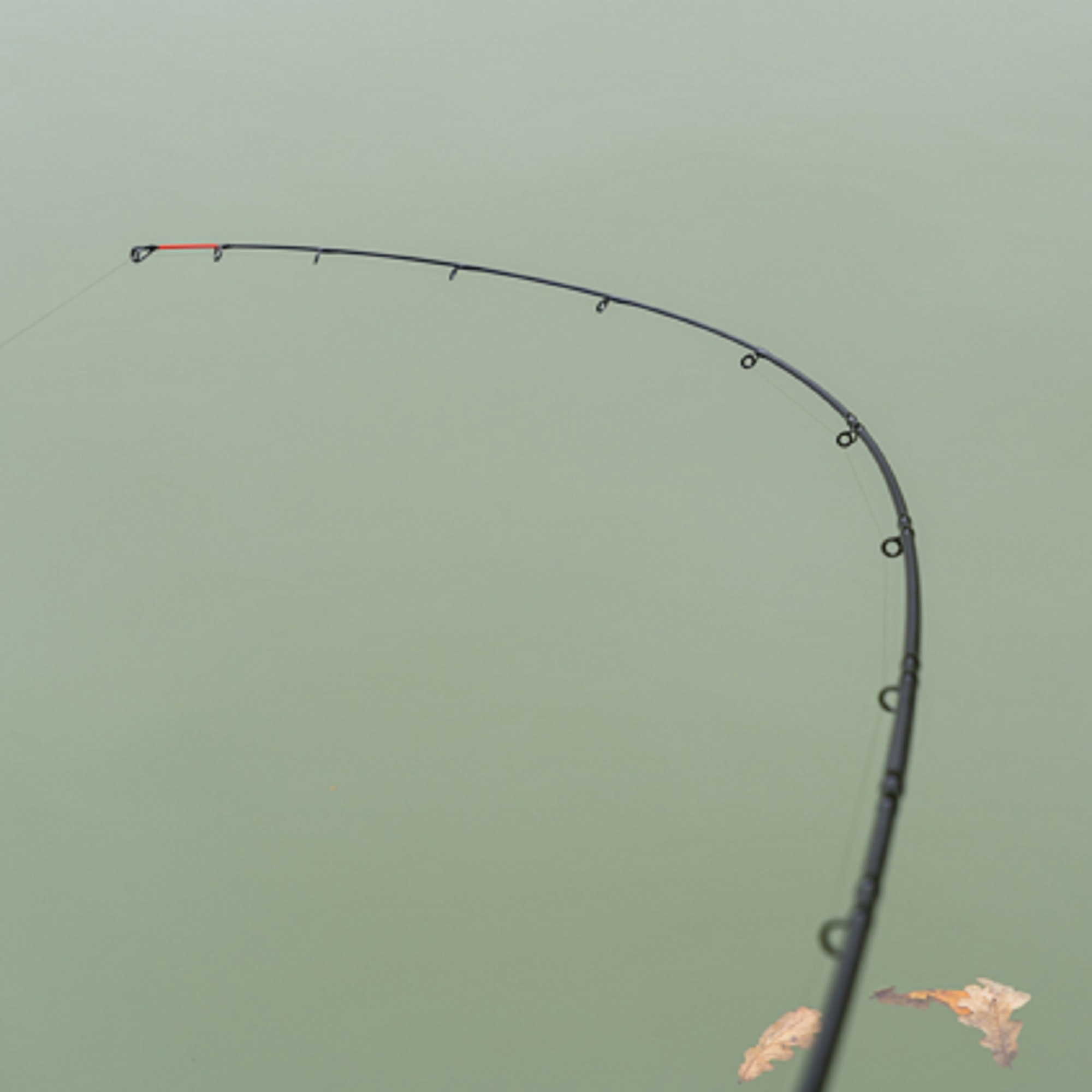 Canna Limitless FEEDER 14ft (4,20m) 220g (3 pezzi) KORUM - immagine 5