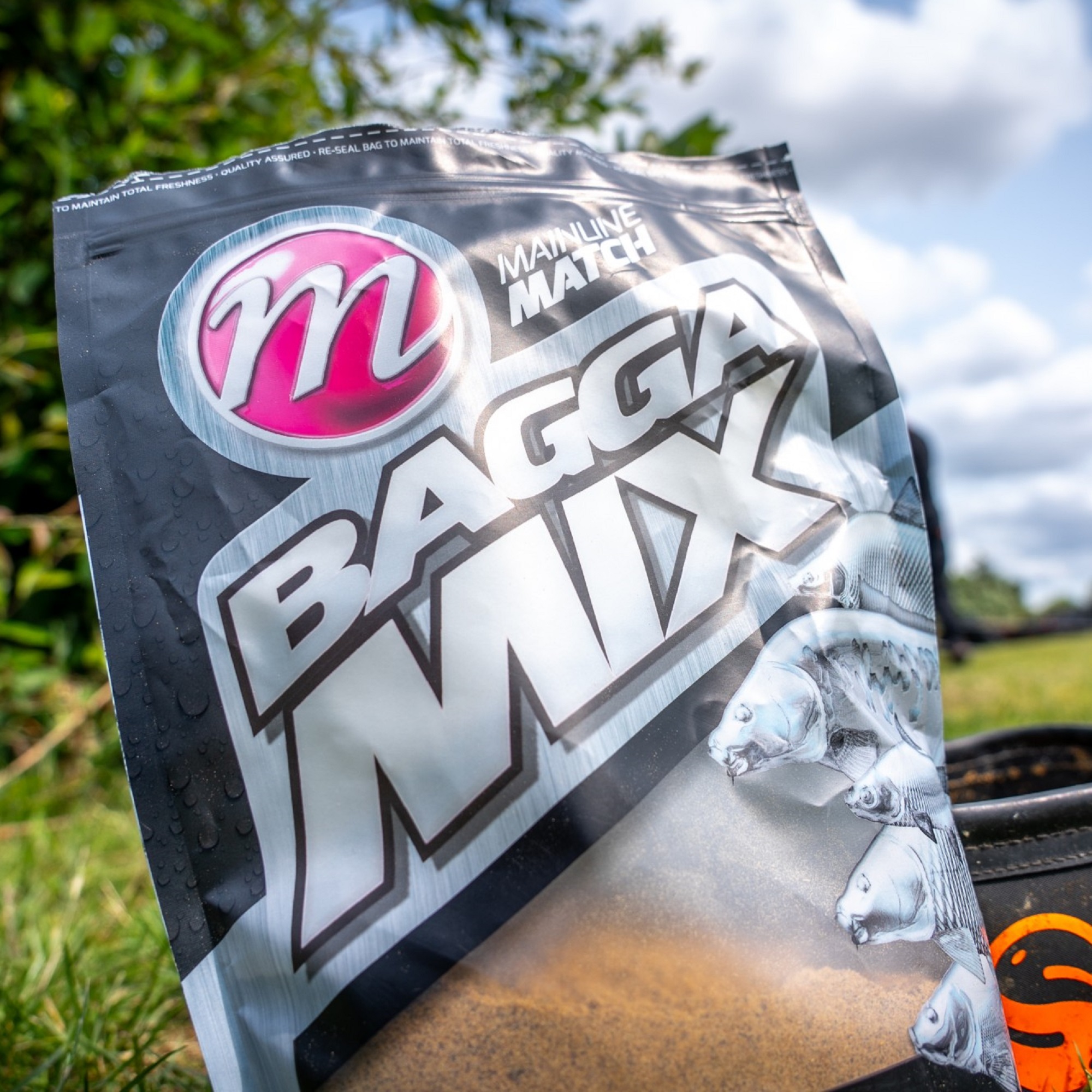 Pastura Bagga Mix MAINLINE (1 kg) - immagine 2