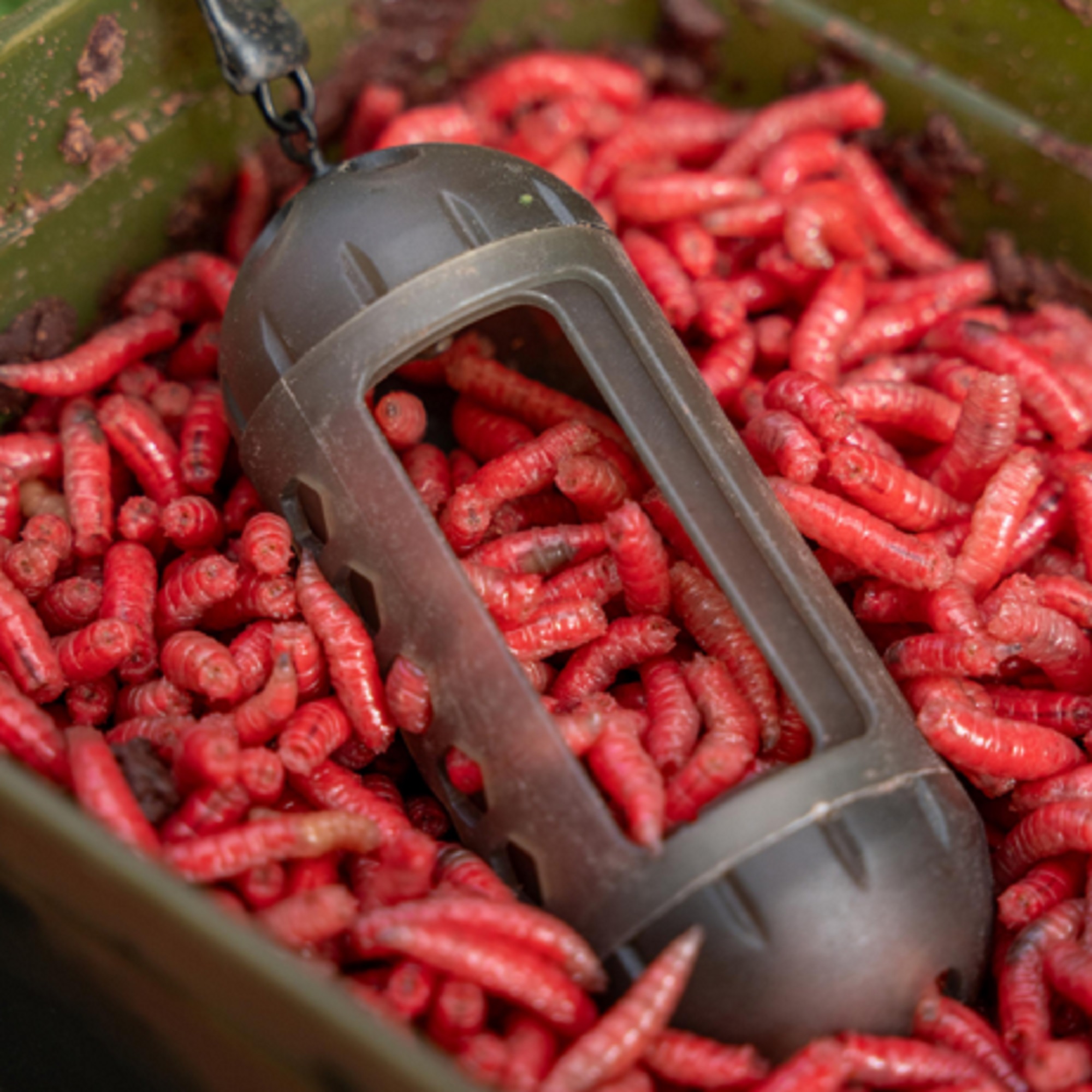 Windows Maggot Feeder KORUM - immagine 5