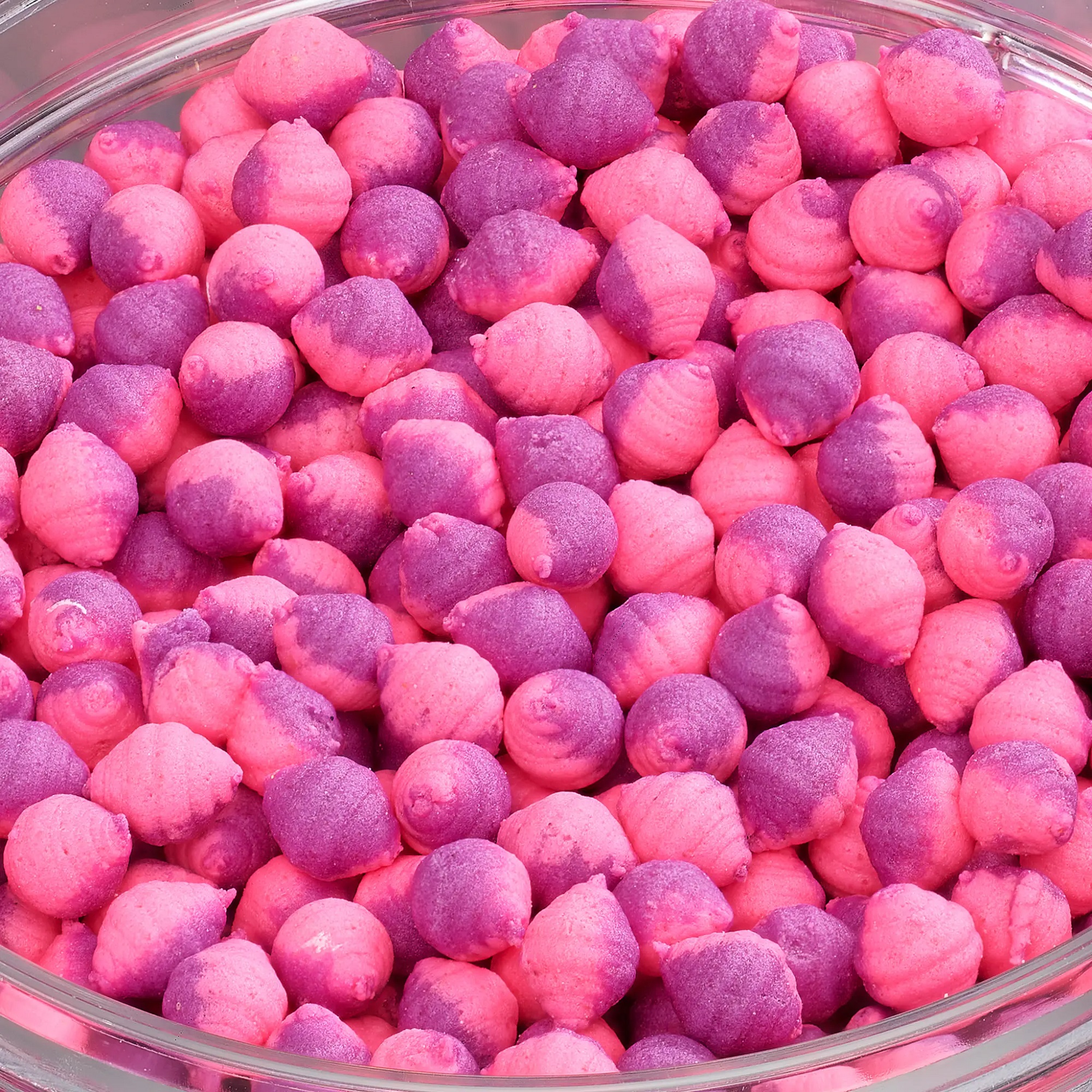 Bandum Wafter Clams ADDICTED CARP BAITS - (Caviar & Pruna) Caviale e Prugna - immagine 2