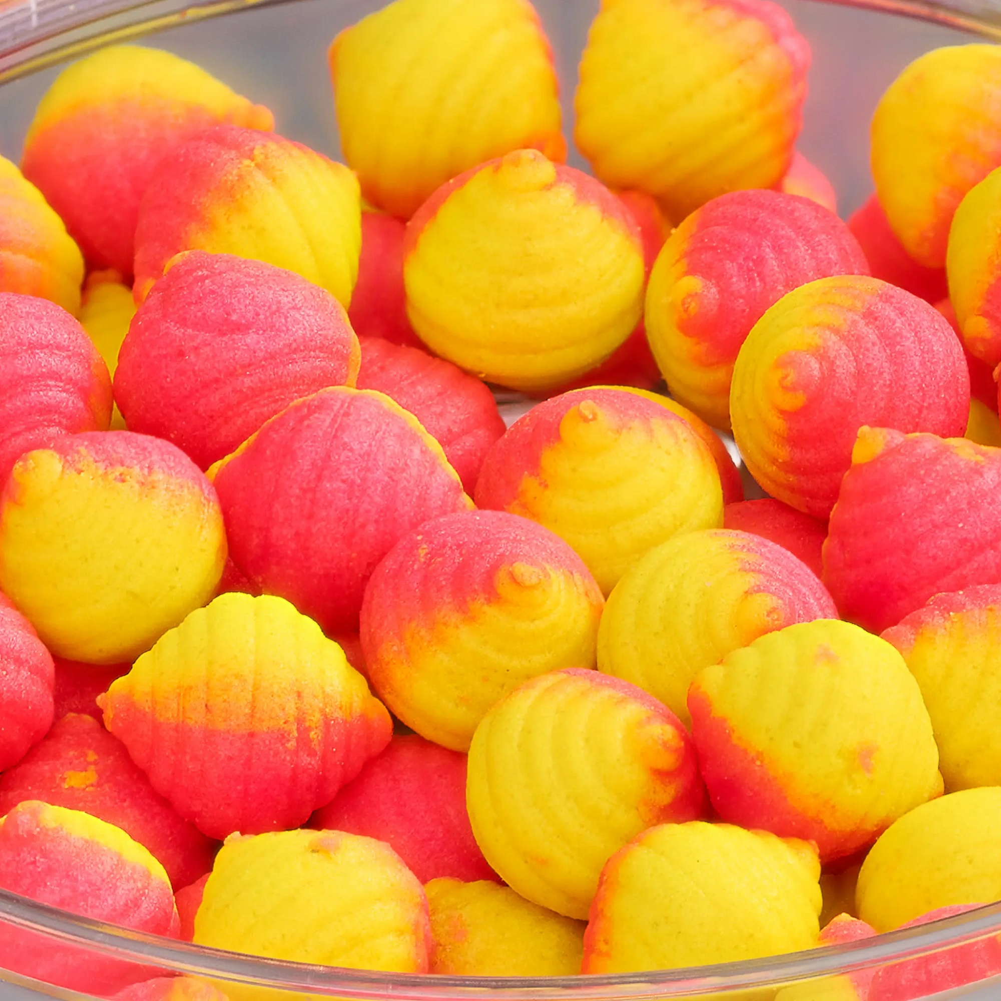 Bandum Wafter Clams ADDICTED CARP BAITS - (Portolaca & N-Butyric) Arancia e N. Butyric - immagine 4