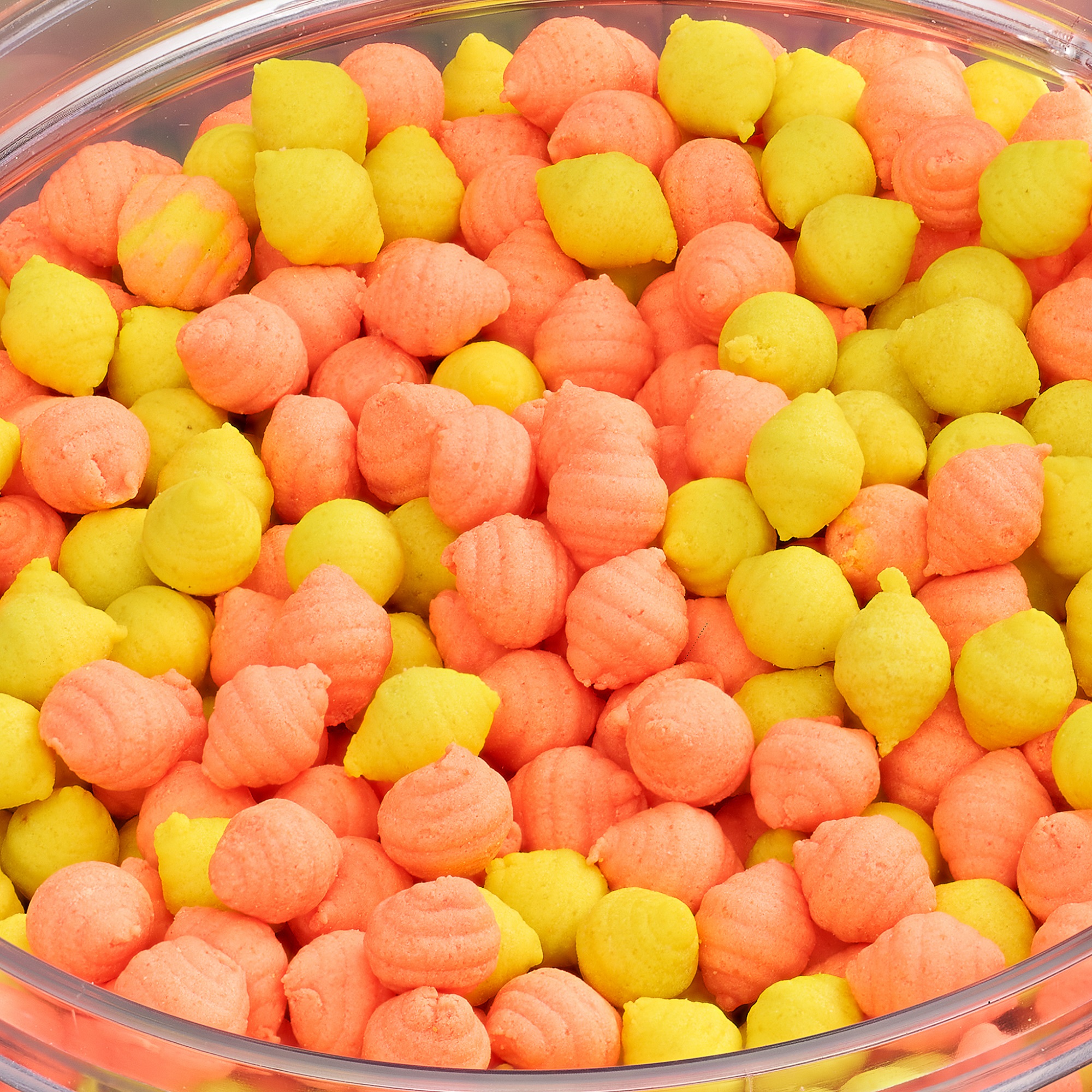 Bandum Wafter Clams ADDICTED CARP BAITS - (Scopex & Capsuna) Scopex e Fragola - immagine 2